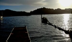 Osprey Point RV Resort and surrounding scenery